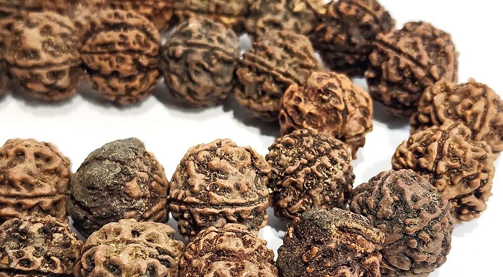 Do Rudraksh Beads Really Help in Astrology